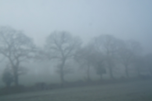 Photographie / brouillard