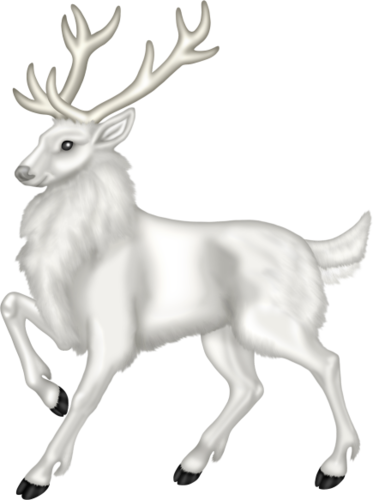 Animaux NOEL png