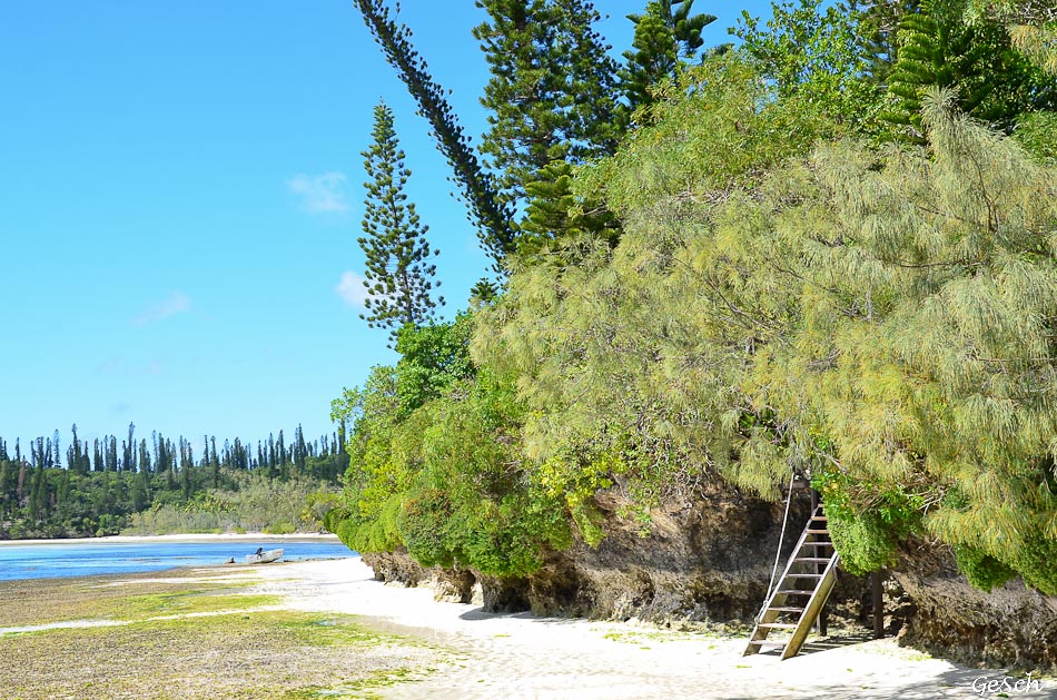 ile des pins nouvelle calédonie