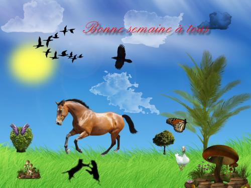 Facebook 4