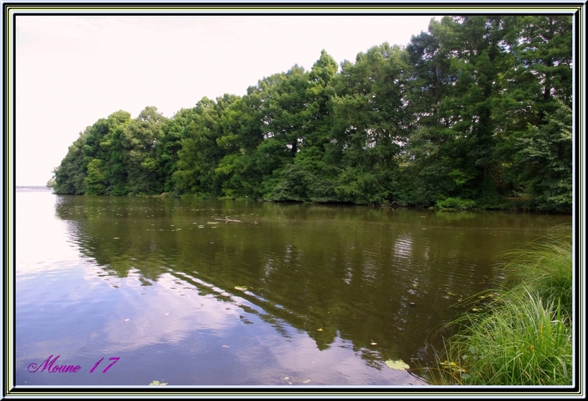 Le lac de Soustons    (landes)