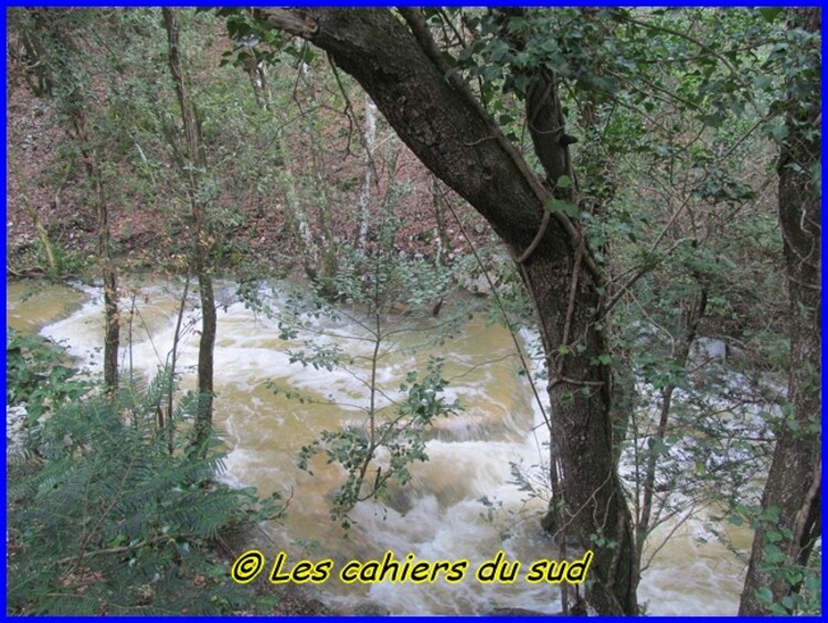 La source de l'Huveaune