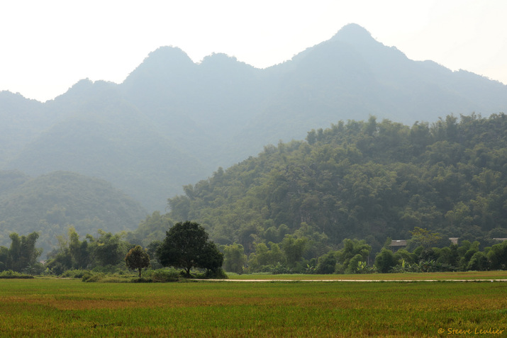 Les rizières de Mai Châu, Viêt Nam