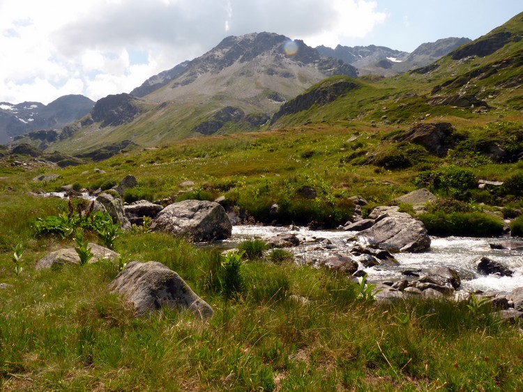 Torrent de Bissorte