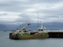 15 juin, de Búðardalur à Djúpidalur 