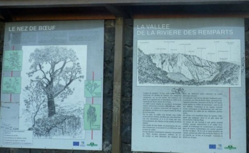 Le volcan de la Fournaise (Réunion) -