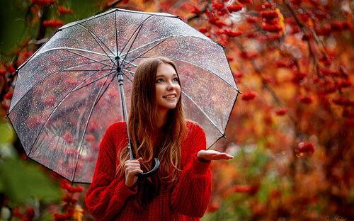 Parapluies d'automne