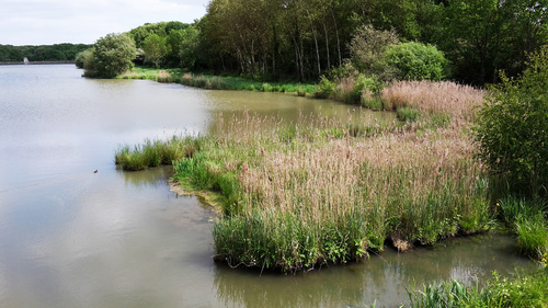 Bientôt une réserve nationale de biodiversité au Perray ?