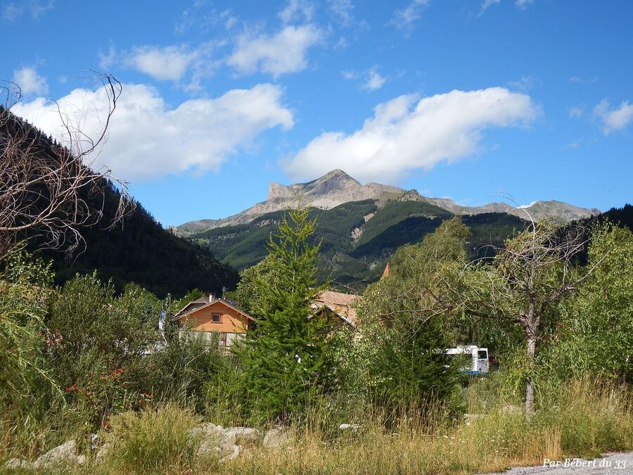 Colmar des Alpes dept 04 (3)