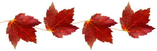 Tubes png feuilles
