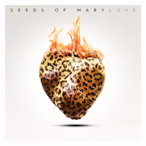 SEEDS OF MARY - "Spiral Me Down" Clip