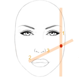 Géométrie du visage #2: Les zones importantes