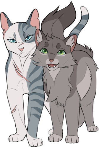 Aile de Colombe - Dovewing - Warrior Cats Project