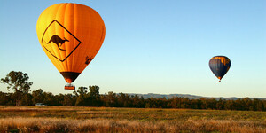 season balloons australia kangaroos koalas