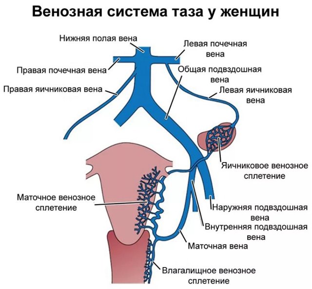 в воронеже лечение алкоголизма