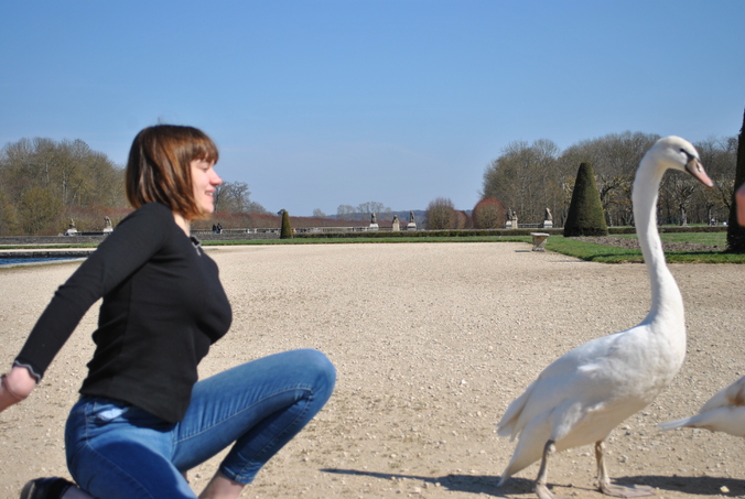 Fontainebleau insolite