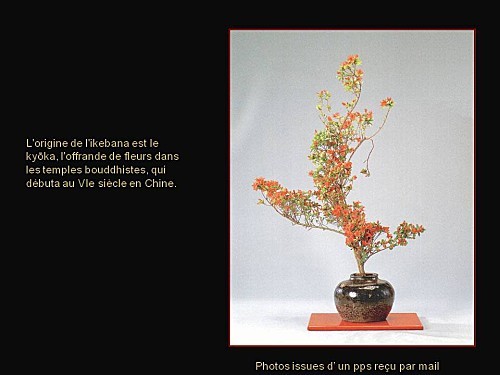 ikebana pps (7)