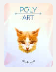 L’affiche du jeu « Poly Art »