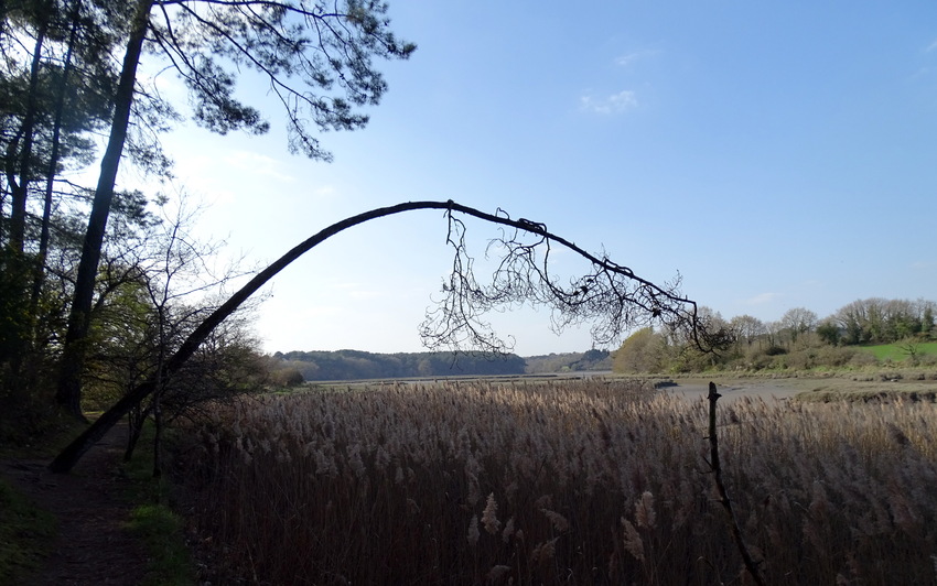 Du Sal au port de Plougoumelen