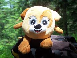 mascotte en montagne