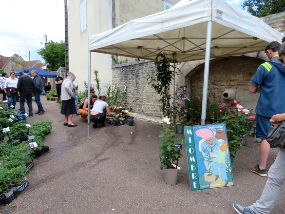 La 24 ème Foire aux Graines organisée par A.R.C.E. a eu lieu le dimanche 19 mai à Recey-sur-Ource