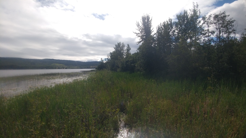 Journey Through Western Canada: Day Twenty-One: From Terrace to McBride