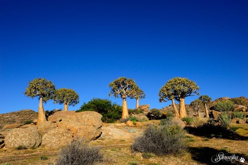 Goegap Nature Reserve