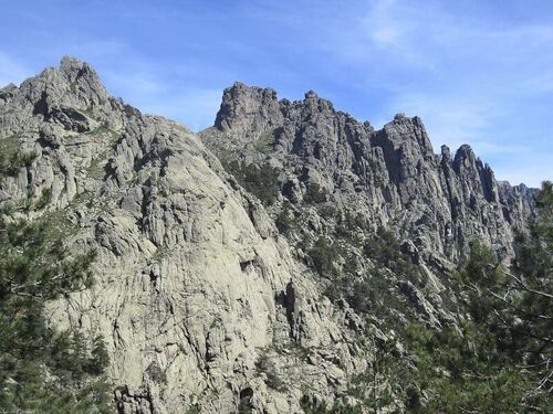 CORSE GR 20