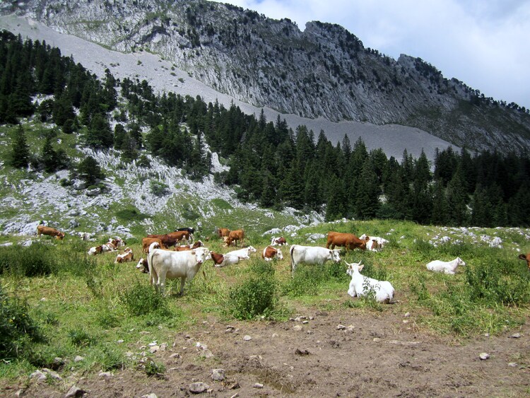 Le Col de La Grande Vache...