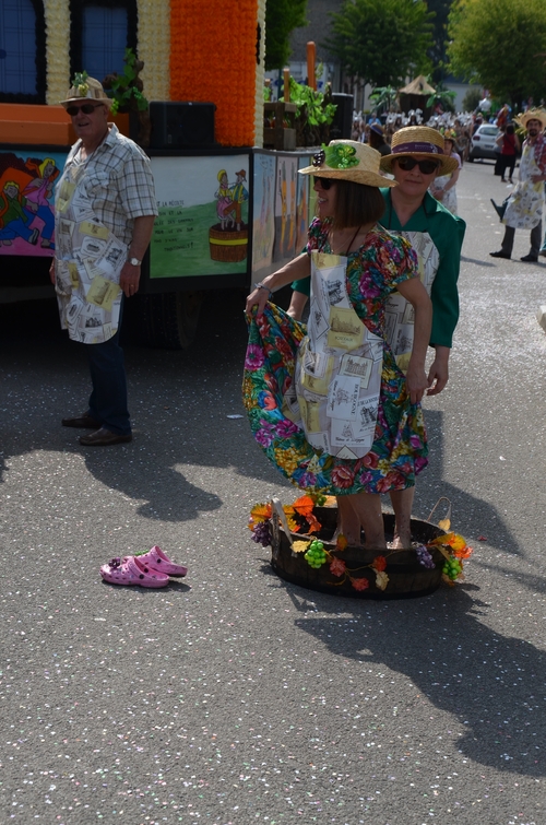 Le carnaval diurne de Ploërmel