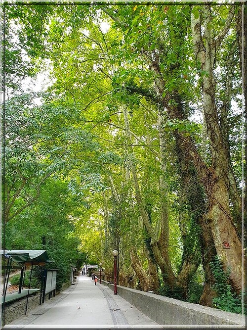 1026 - Fontaine de Vaucluse (84)