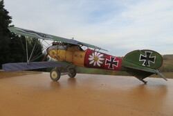 ALBATROS D.V Paul Baumer. au 1/33                   (conception Marek, couleur Matt77)        1/2