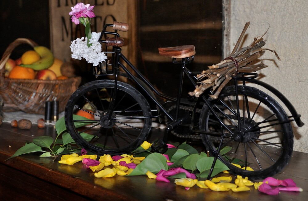 Mon p'tit vélo aux couleurs du printemps