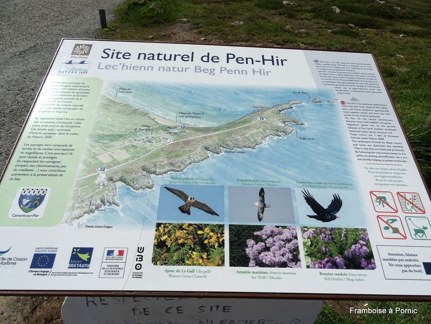 Pointe de Pen Hir - Presqu'ile de Crozon - Finistère 
