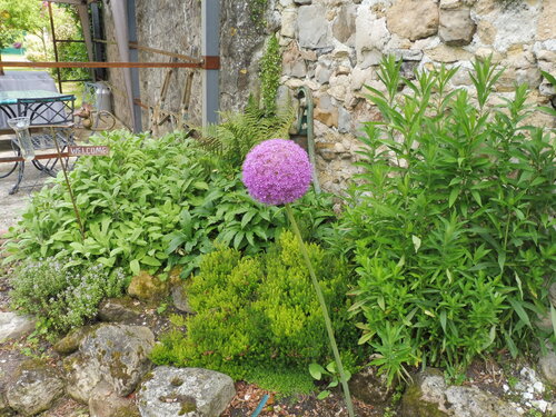 Le jardin de Gilles 2016