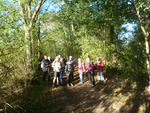 La randonnée du 21 octobre en forêt de Grimbosq