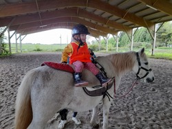 maternelle : activité Poney - séance 1