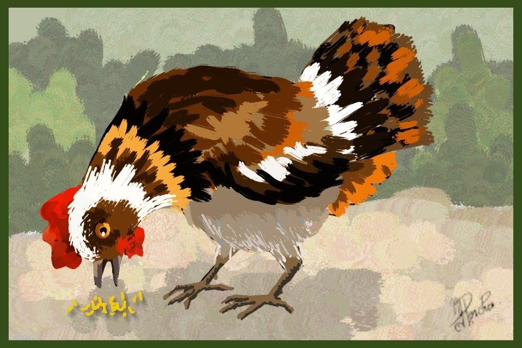 Poule Au Pot Pot Au Feu Lola