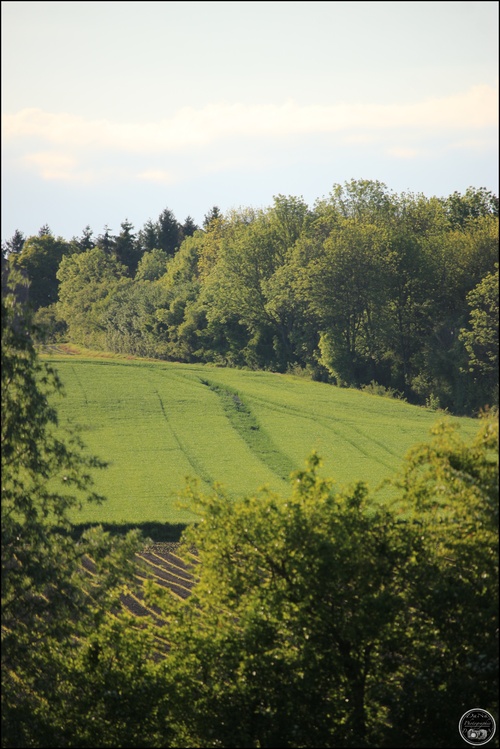 Givry sur Aisne (08)