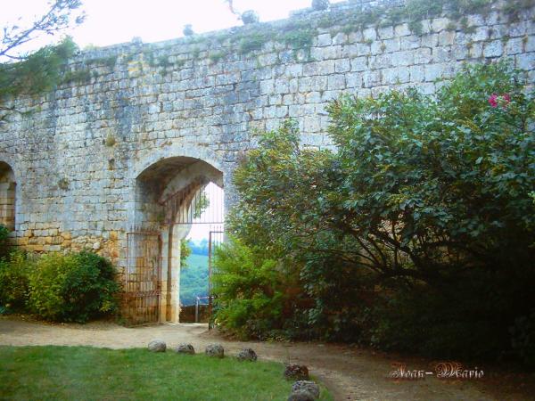 le château des Benauges (arbis) gironde