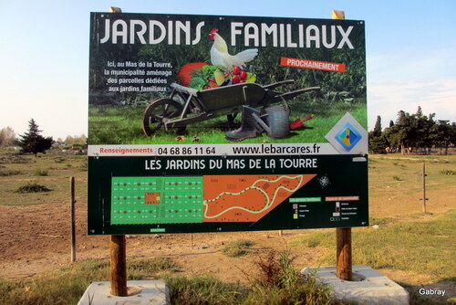 Au Barcarès : jardins familiaux