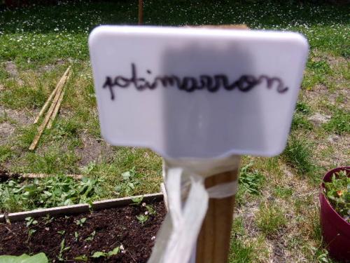 des nouvelles du jardin d'école