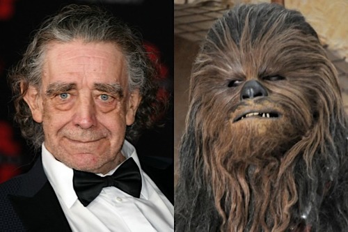 Chewbacca : mort de Peter Mayhew