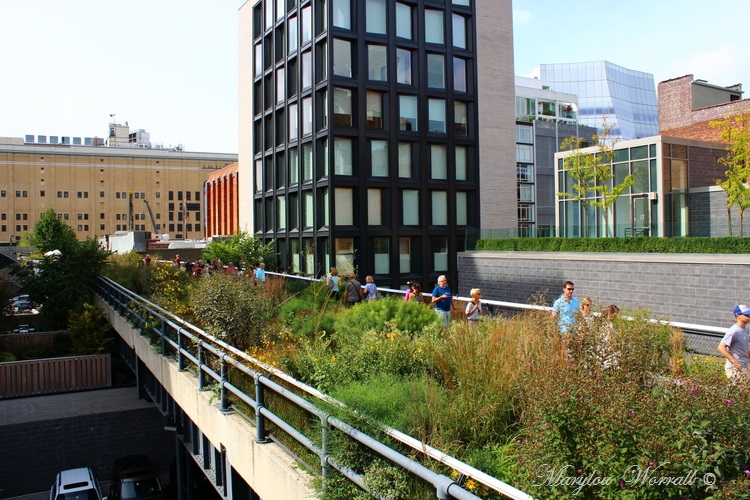 New York : The High Line 1/3