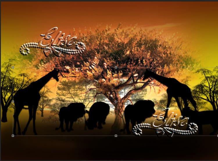 A la tombée de la nuit !!!! PS