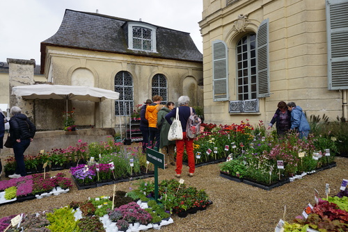 Fête des plantes et art du jardin à Jossigny