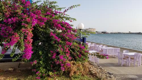 La route du bougainvillier