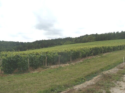 Le circuit des cabanes en pierres sèches au pays du Crémant...