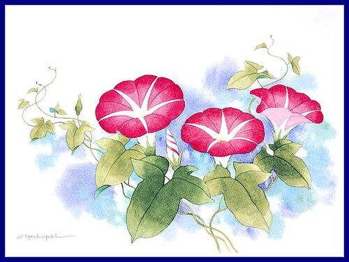Les fleurs de Yoshiyuki Ibaraki