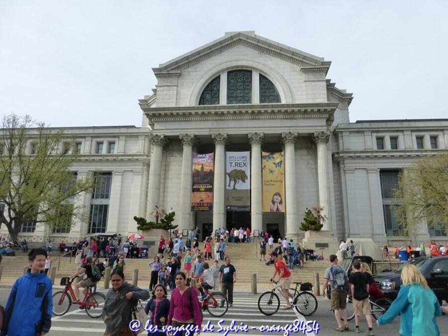 USA WASHINGTON CARRE DES MUSEES